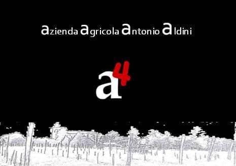 Antonio Aldini Logo