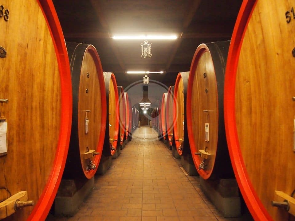 Araldica Vini Piemontesi - Araldica_Vini_Piemontesi_1