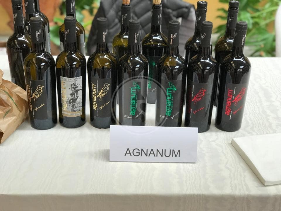 Azienda Agricola Agnanum di Raffaele Moccia - Agnanum 2
