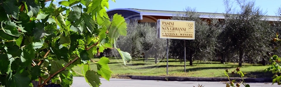 Azienda Agricola San Giovanni - pasini_san_giovanni_est