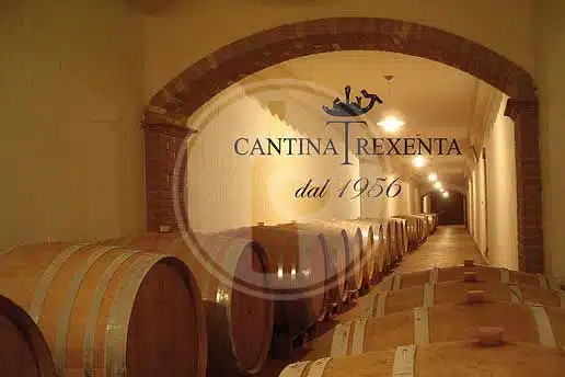 Cantina Trexenta - cantina_Trexenta_botti