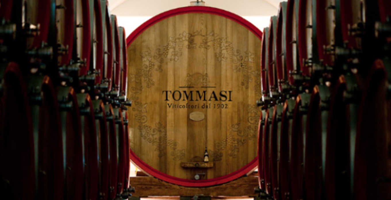 Tommasi Viticoltori - tommasi-viticoltori_gallery_007