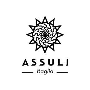 assuli logo