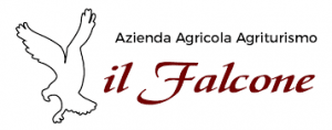 azienda agricola il falcone logo