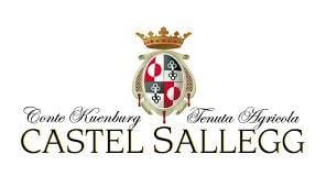 castel sallegg logo