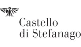 castello di stefanago logo
