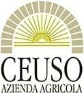 Ceuso Logo