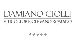 Damiano Ciolli Logo