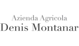 denis montanar logo