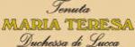 Maria Teresa Logo