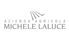 michele laluce logo