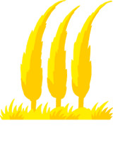 Paolo Caccese Logo