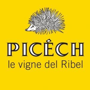 picech logo
