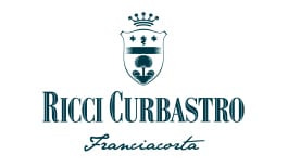Ricci Curbastro Logo