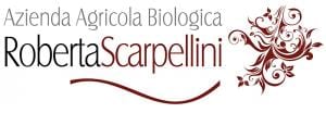 Scarpellini Logo