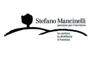 Stefano Mancinelli Logo