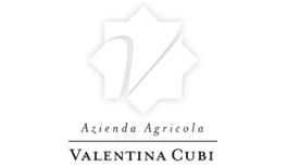 valentina cubi logo