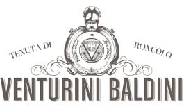Venturini Baldini Logo