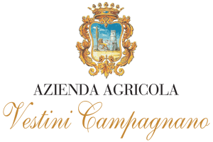 Vestini Campagnano Logo