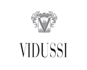 vidussi logo