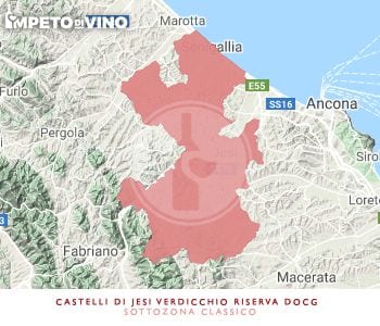 castelli di jesi verdicchio riserva docg sottozona classico logo