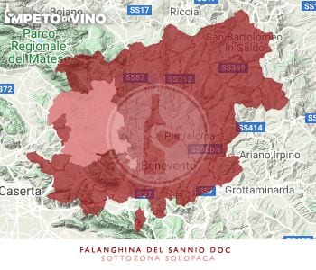 Denominazione Falanghina del Sannio DOC sottozona Solopaca
