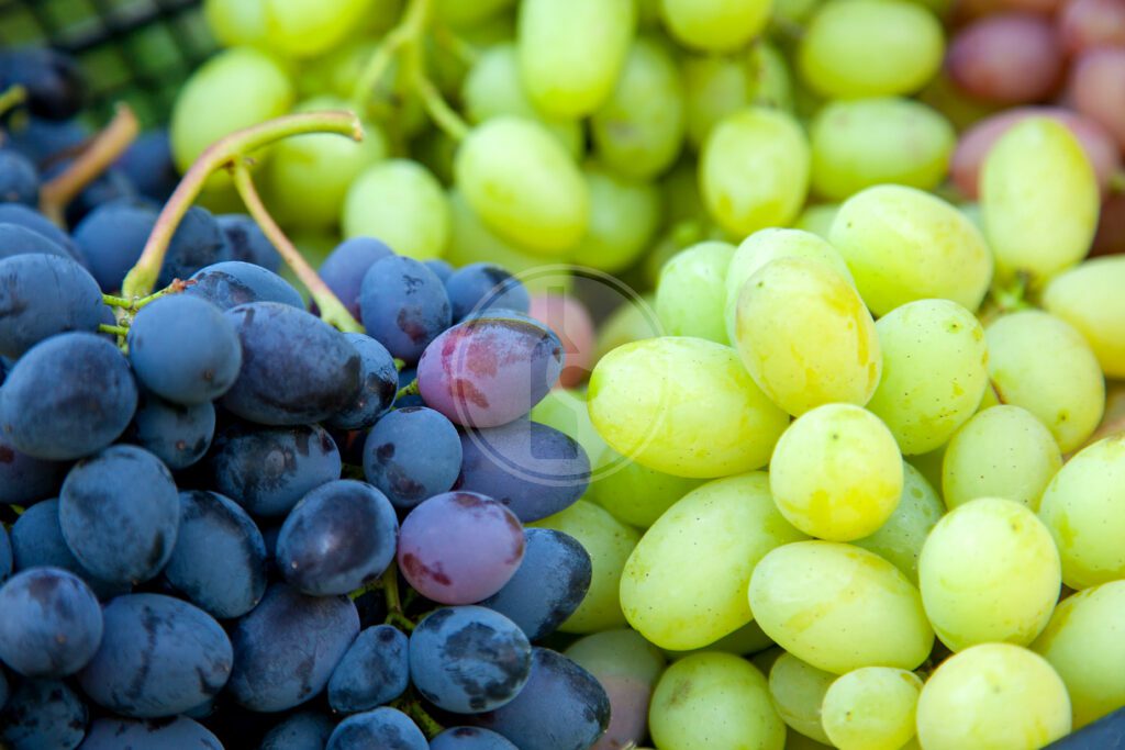 healthyfruitsredwinegrapesbackground darkgrapes bluegrapes wine