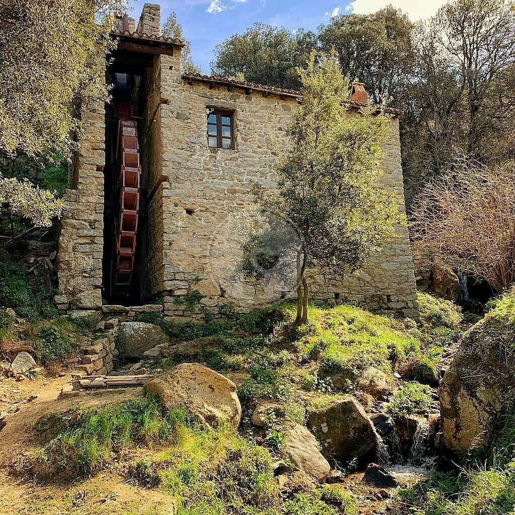 Antico mulino idraulico di Olzai