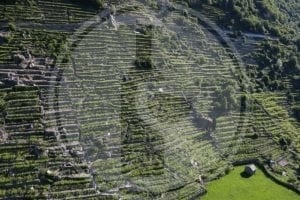 Scorcio di paesaggio con vigneti eroici in Valle d'Aosta