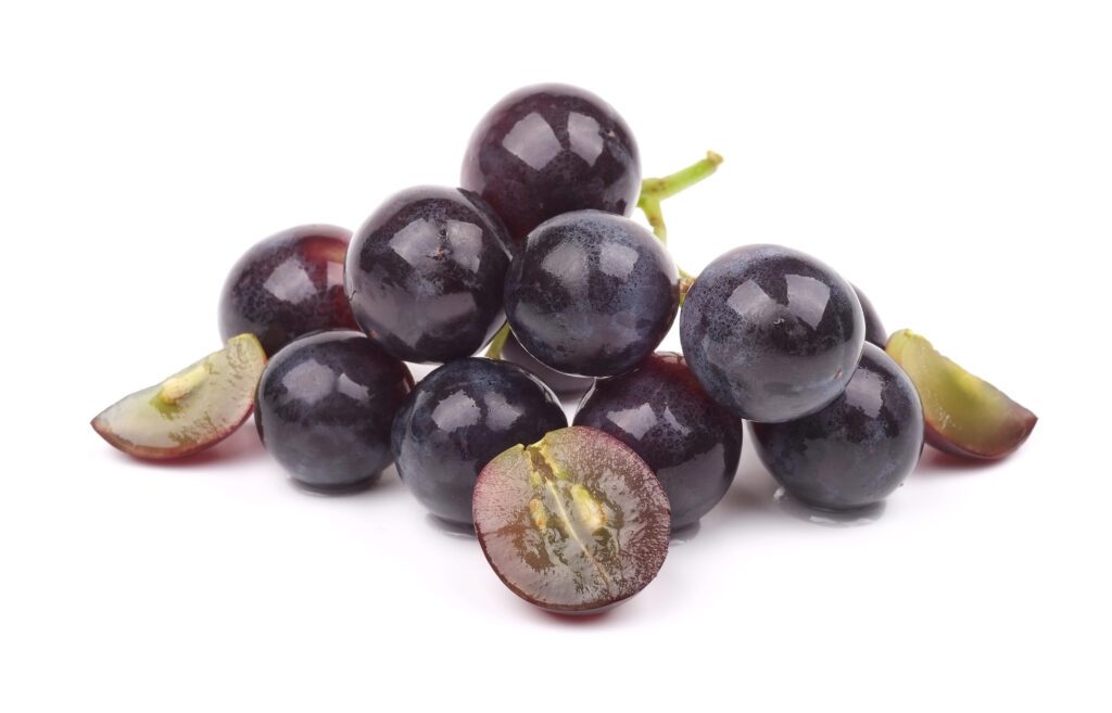 grappolo di uva dopo la vendemmia