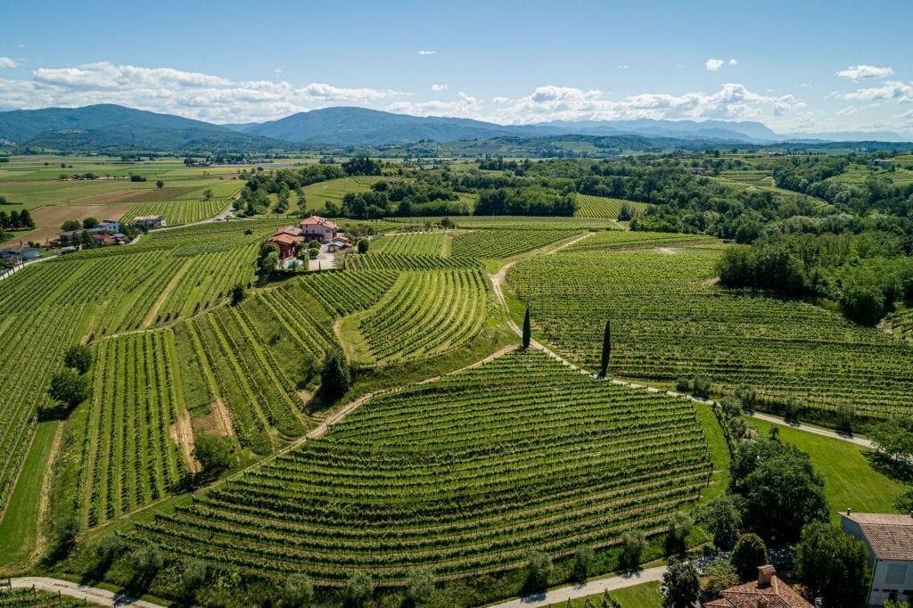 strada del vino colli orientali