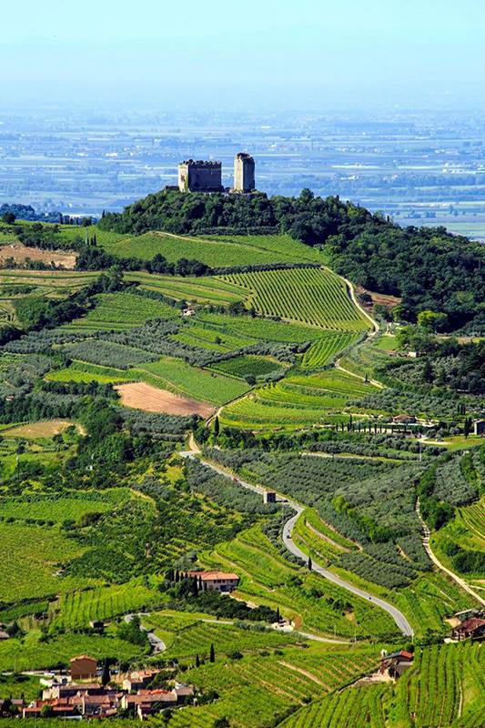 Le strade del vino in Italia sono famose anche per i suoi diversi paesaggi